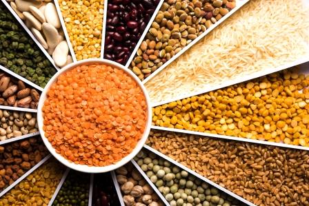 India Agri Commodities — Dry Fruits, Pulses, Grains